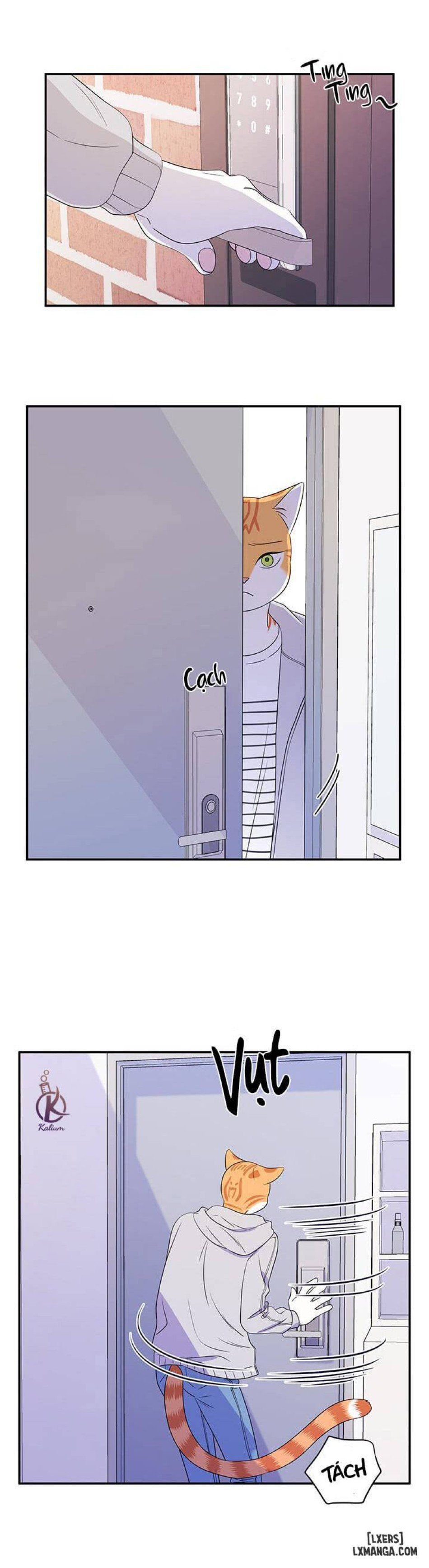 đọc truyện Dự Án Xanh Chương 9 ảnh 12 tại Thiên Thai Truyện