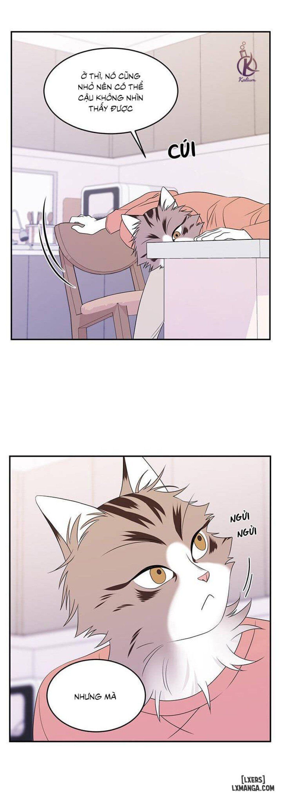 đọc truyện Dự Án Xanh Chương 9 ảnh 19 tại Thiên Thai Truyện