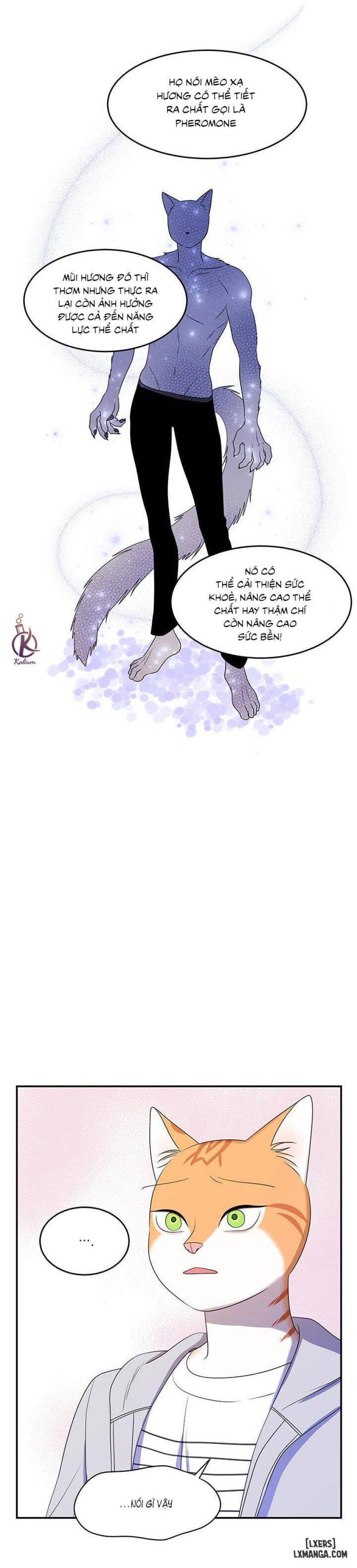 đọc truyện Dự Án Xanh Chương 9 ảnh 24 tại Thiên Thai Truyện