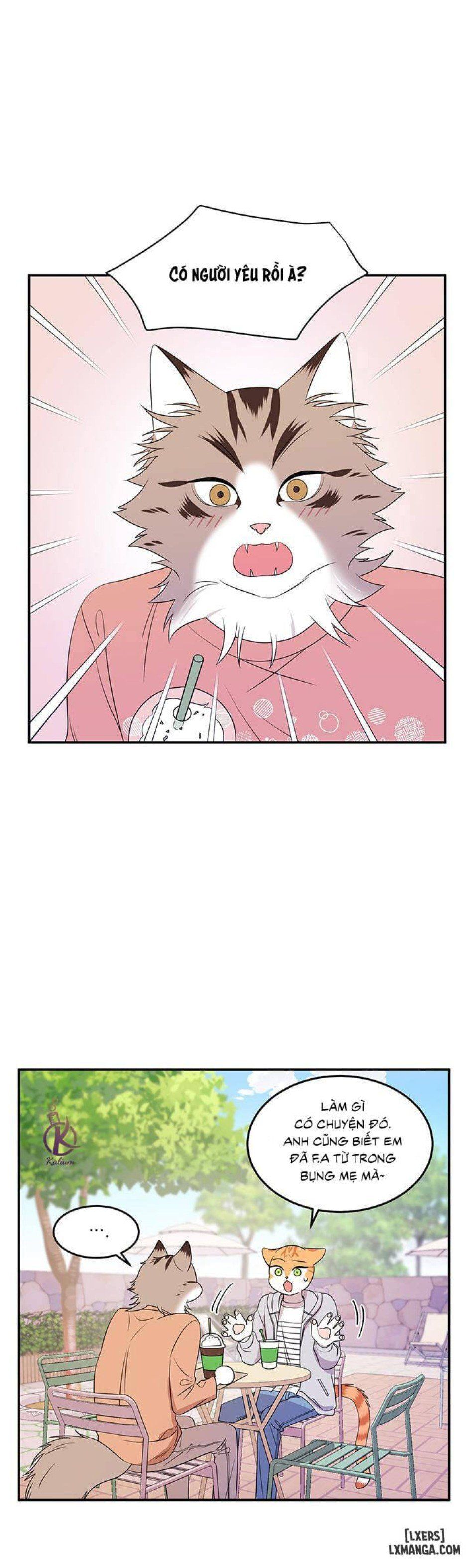 đọc truyện Dự Án Xanh Chương 9 ảnh 5 tại Thiên Thai Truyện