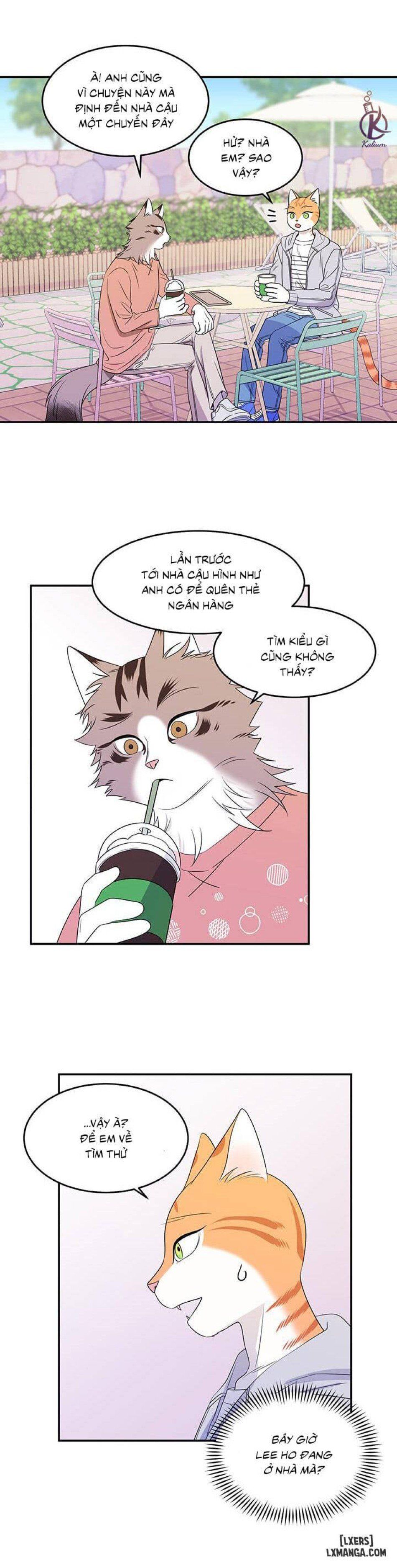 đọc truyện Dự Án Xanh Chương 9 ảnh 7 tại Thiên Thai Truyện