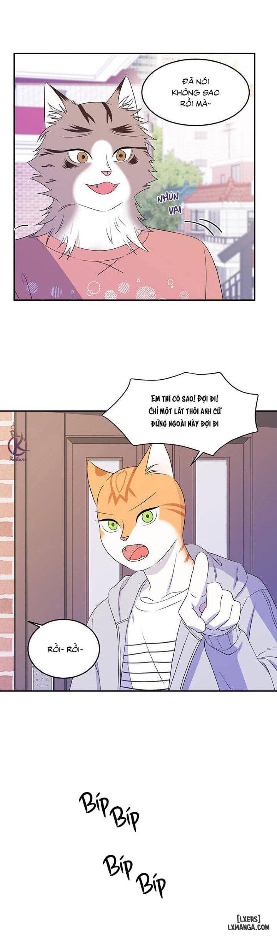 đọc truyện Dự Án Xanh Chương 9 ảnh 11 tại Thiên Thai Truyện