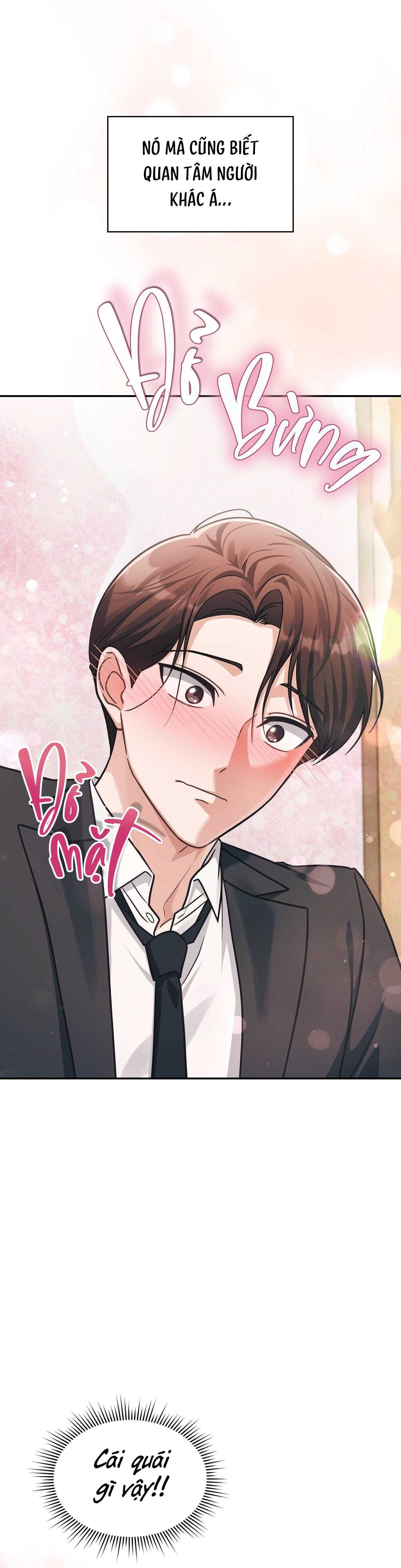 đọc truyện Dù Không Phải Guide Định Mệnh Của Cậu Chương 16 ảnh 37 tại Thiên Thai Truyện