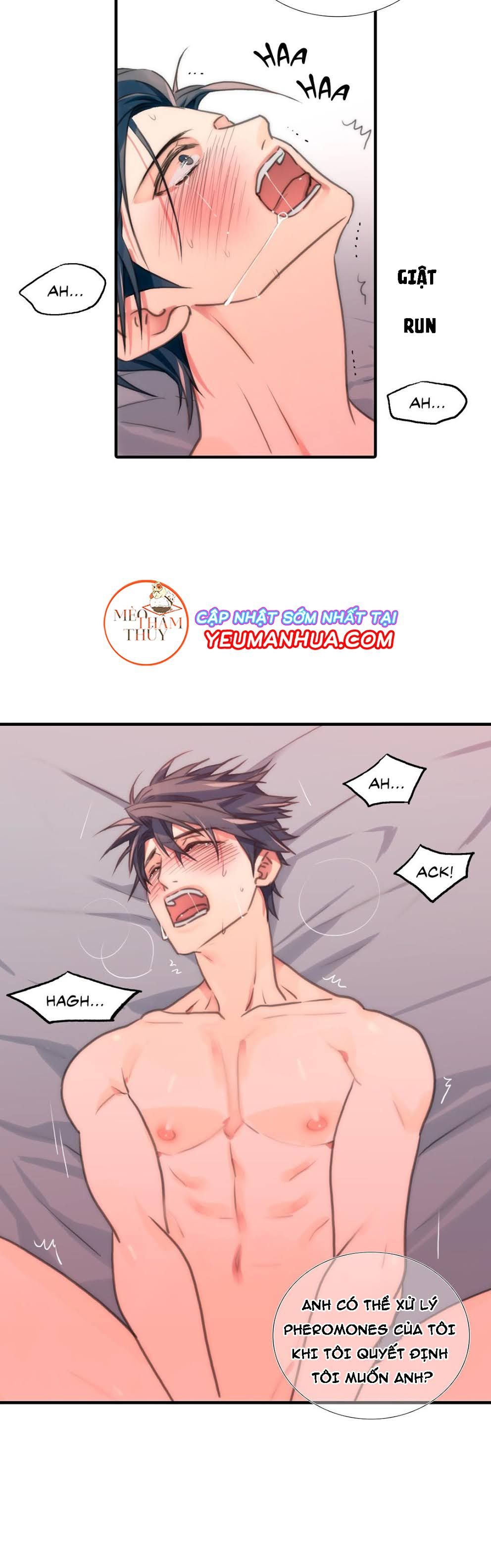 đọc truyện Đưa Đón Người Yêu Chương 11 ảnh 15 tại Thiên Thai Truyện