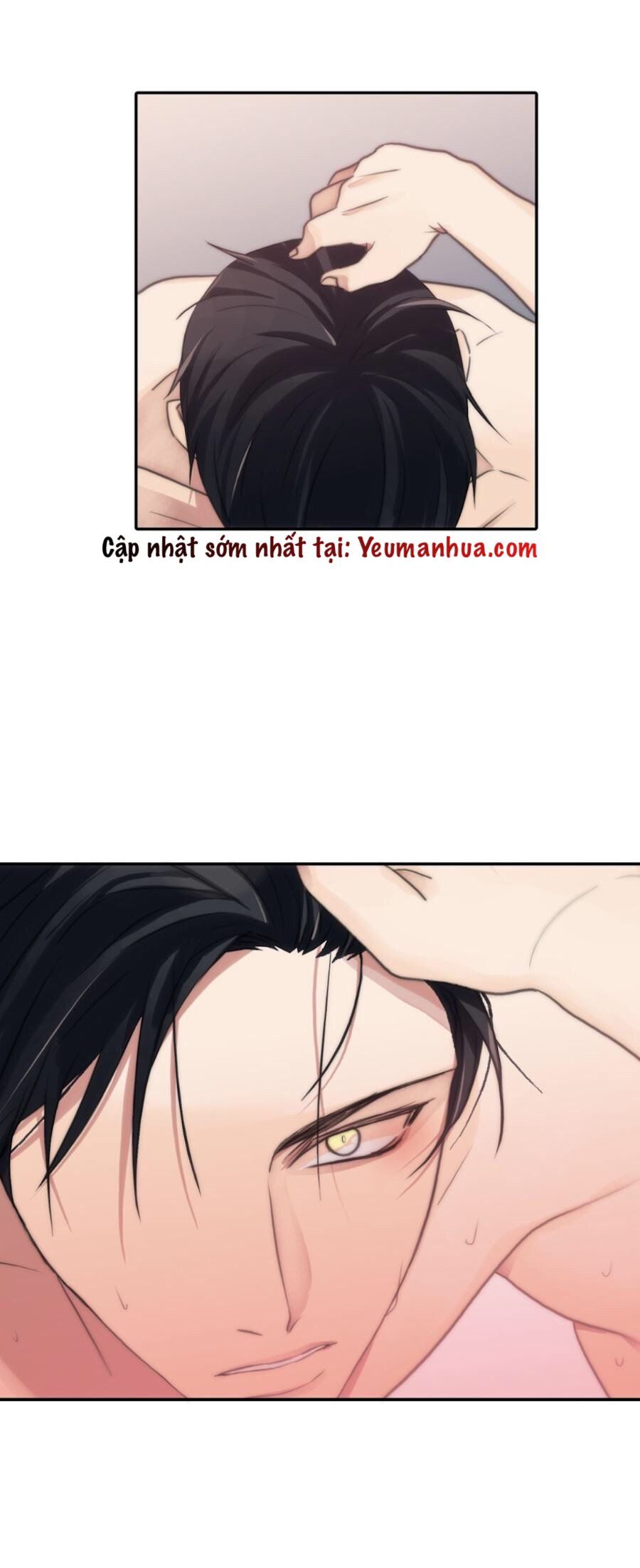 đọc truyện Đưa Đón Người Yêu Chương 21 ảnh 19 tại Thiên Thai Truyện