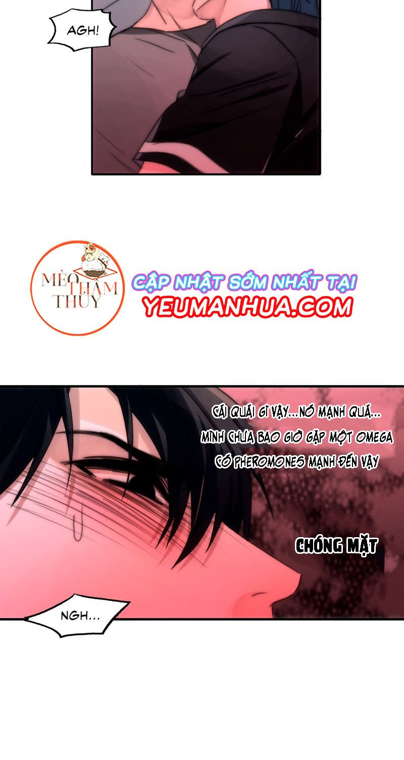 đọc truyện Đưa Đón Người Yêu Chương 3 ảnh 55 tại Thiên Thai Truyện