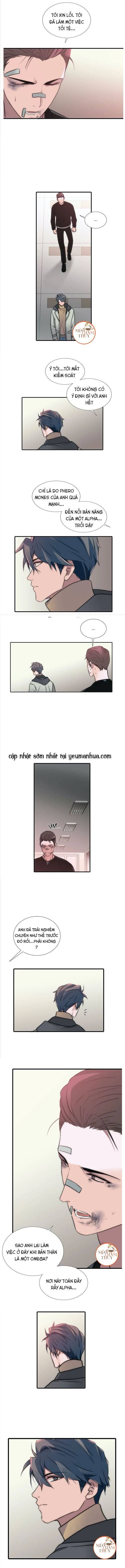 đọc truyện Đưa Đón Người Yêu Chương 59 ảnh 6 tại Thiên Thai Truyện