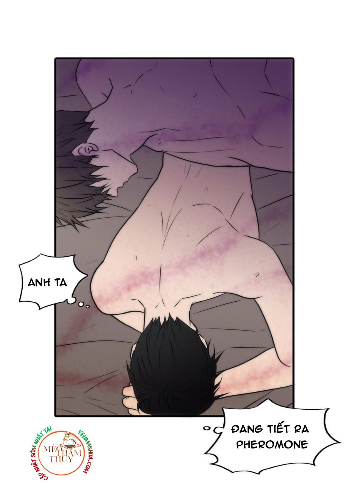 đọc truyện Đưa Đón Người Yêu Chương 64 ảnh 11 tại Thiên Thai Truyện