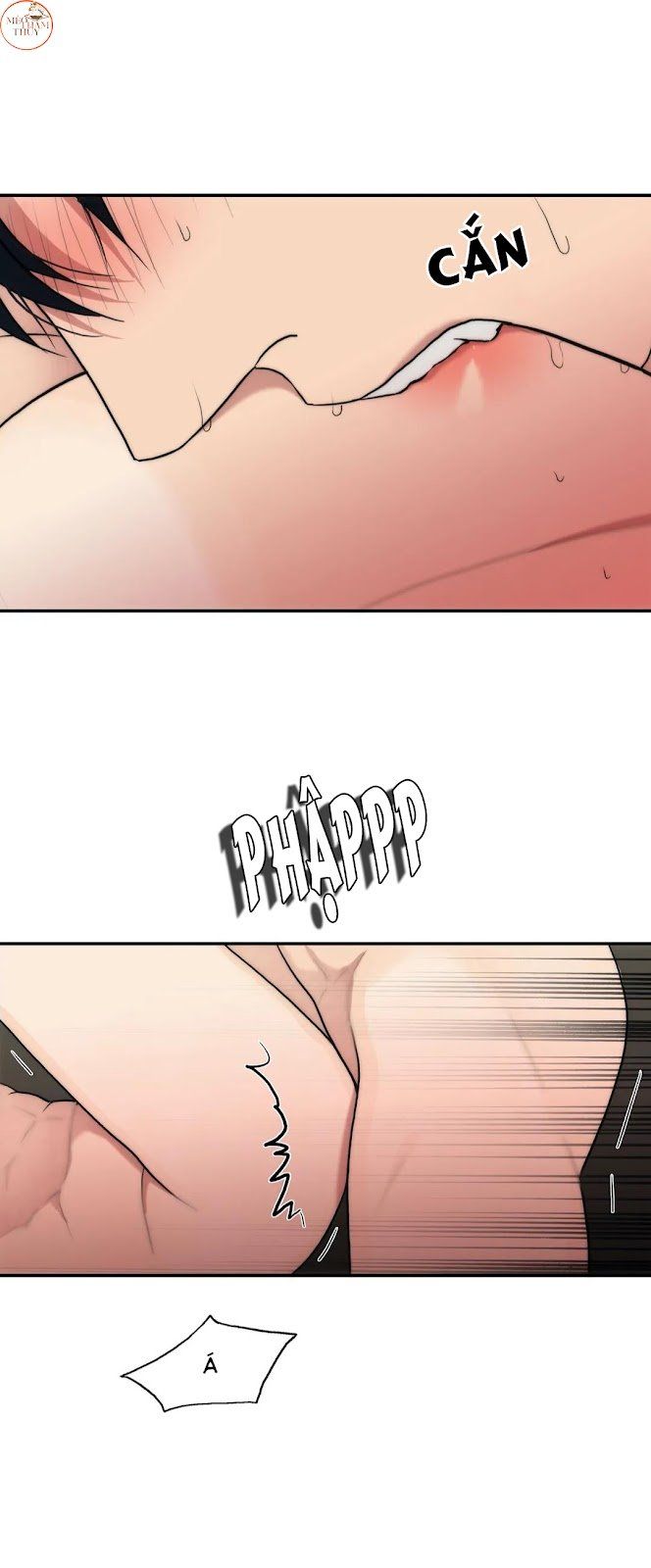 đọc truyện Đưa Đón Người Yêu Chương 79 ảnh 12 tại Thiên Thai Truyện