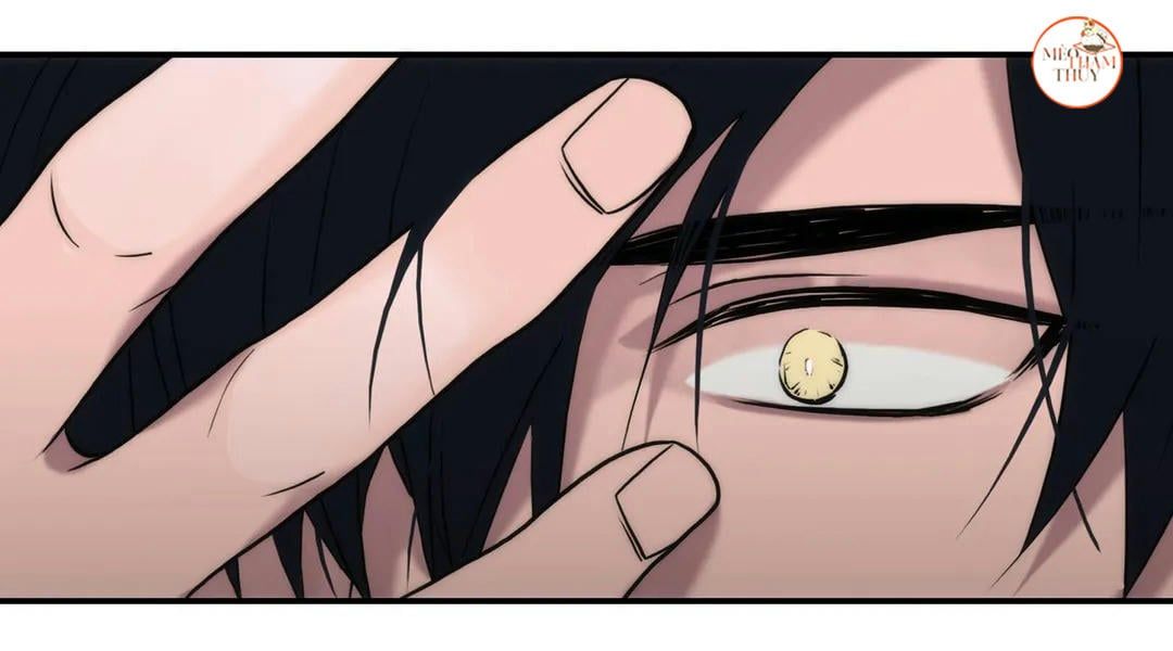 đọc truyện Đưa Đón Người Yêu Chương 81 ảnh 4 tại Thiên Thai Truyện