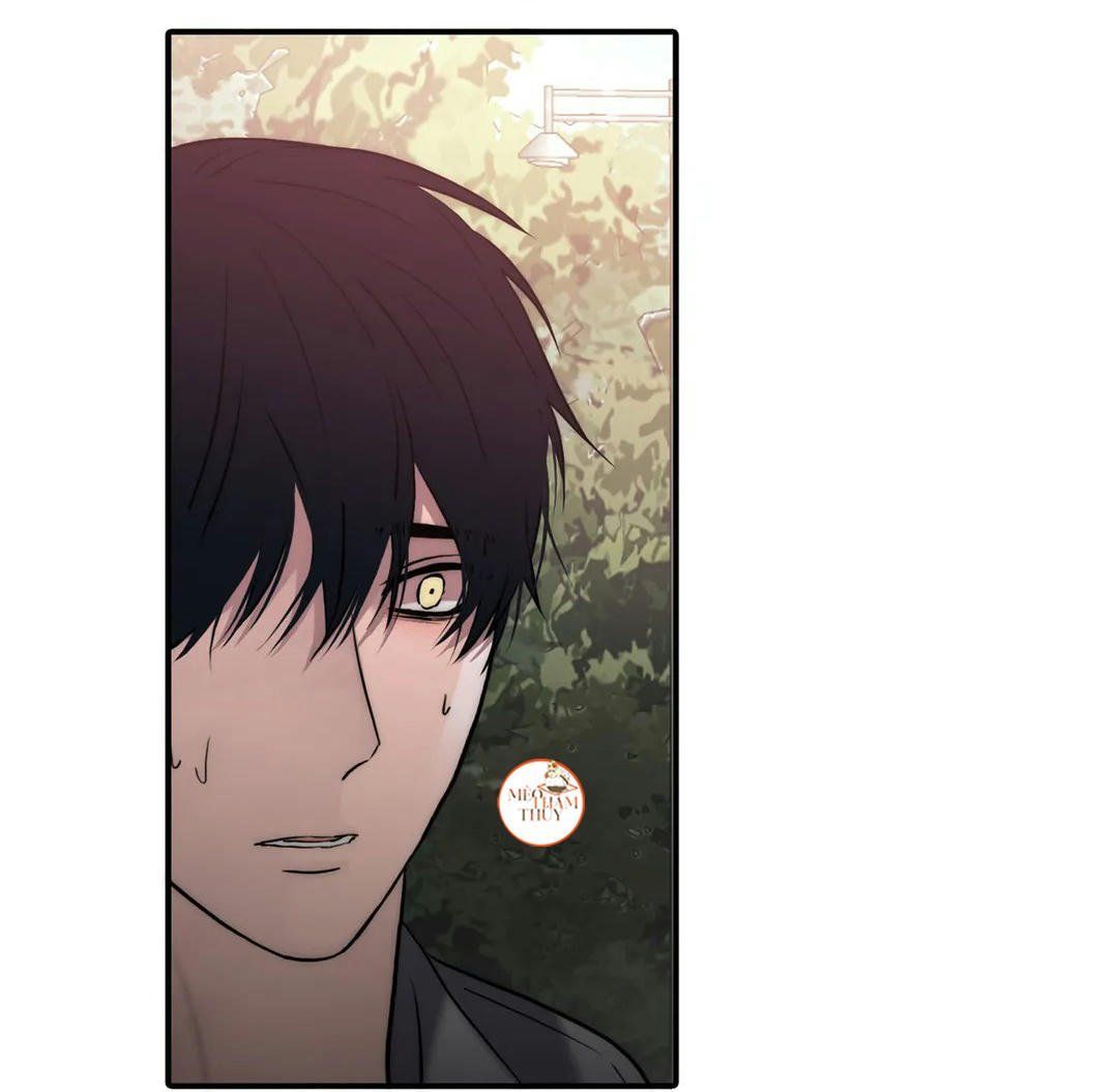 đọc truyện Đưa Đón Người Yêu Chương 81 ảnh 62 tại Thiên Thai Truyện