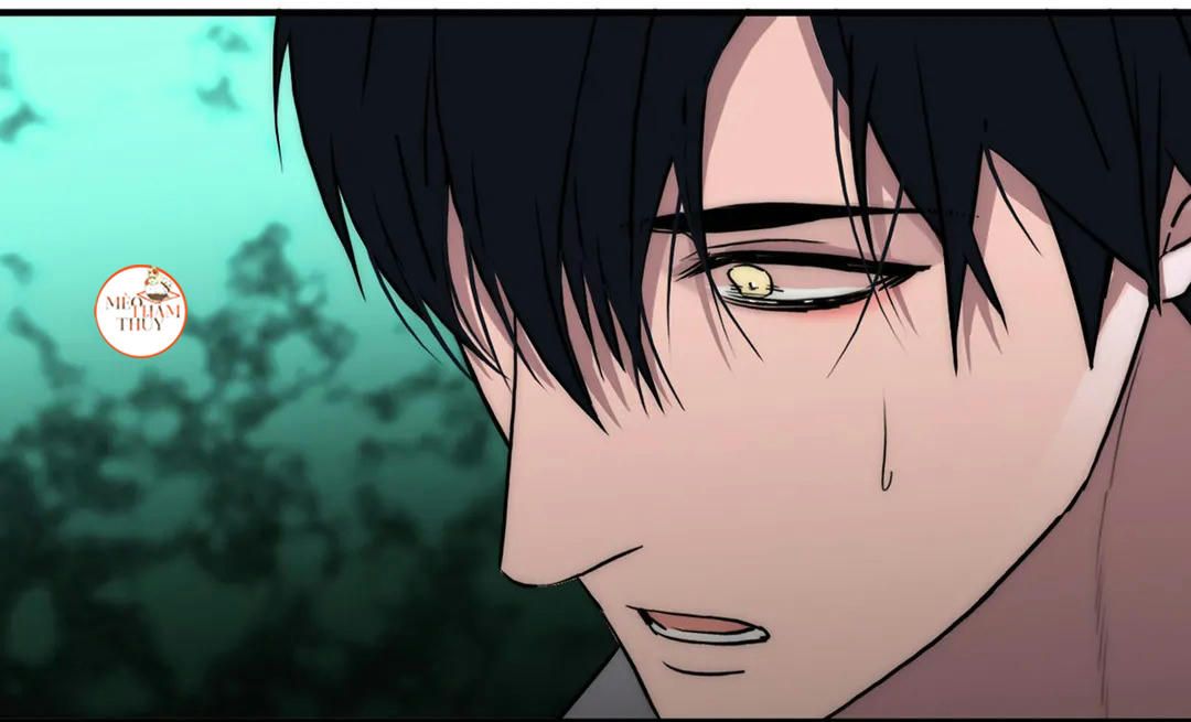 đọc truyện Đưa Đón Người Yêu Chương 81 ảnh 67 tại Thiên Thai Truyện