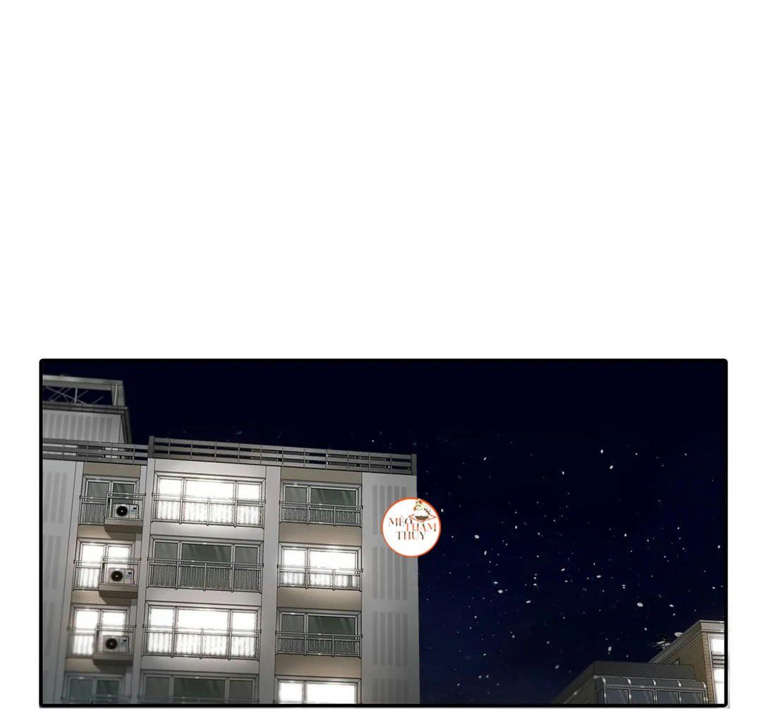 đọc truyện Đưa Đón Người Yêu Chương 81 ảnh 82 tại Thiên Thai Truyện