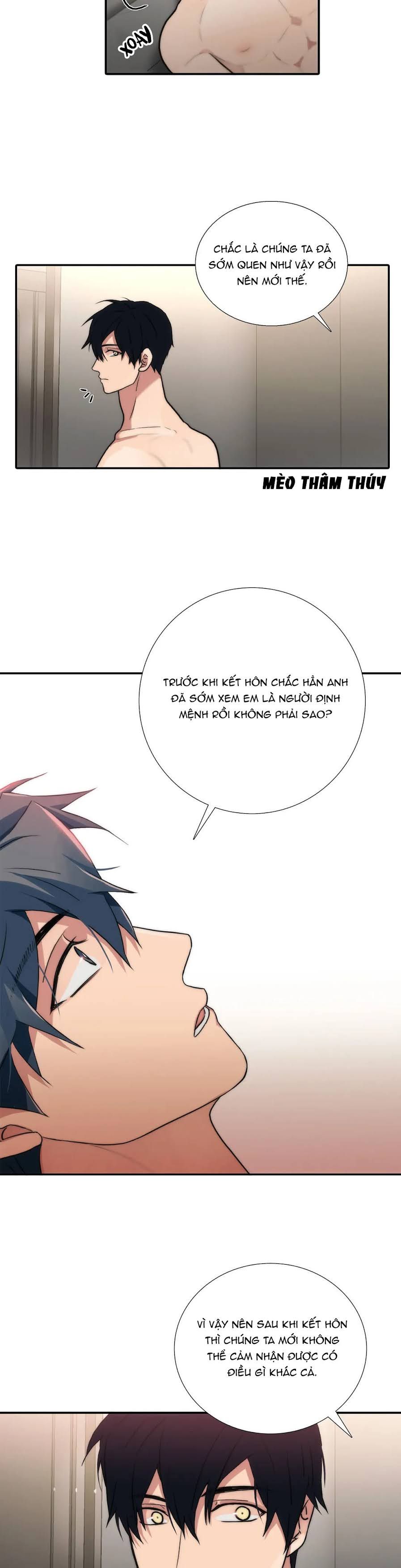 đọc truyện Đưa Đón Người Yêu Chương 84 ảnh 18 tại Thiên Thai Truyện