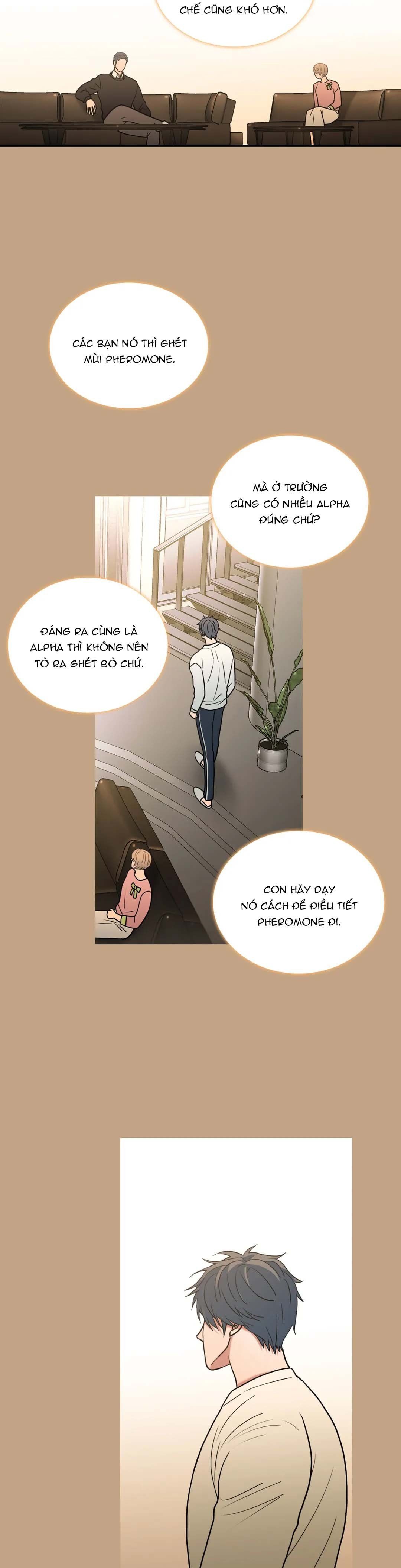 đọc truyện Đưa Đón Người Yêu Chương 94 ảnh 22 tại Thiên Thai Truyện