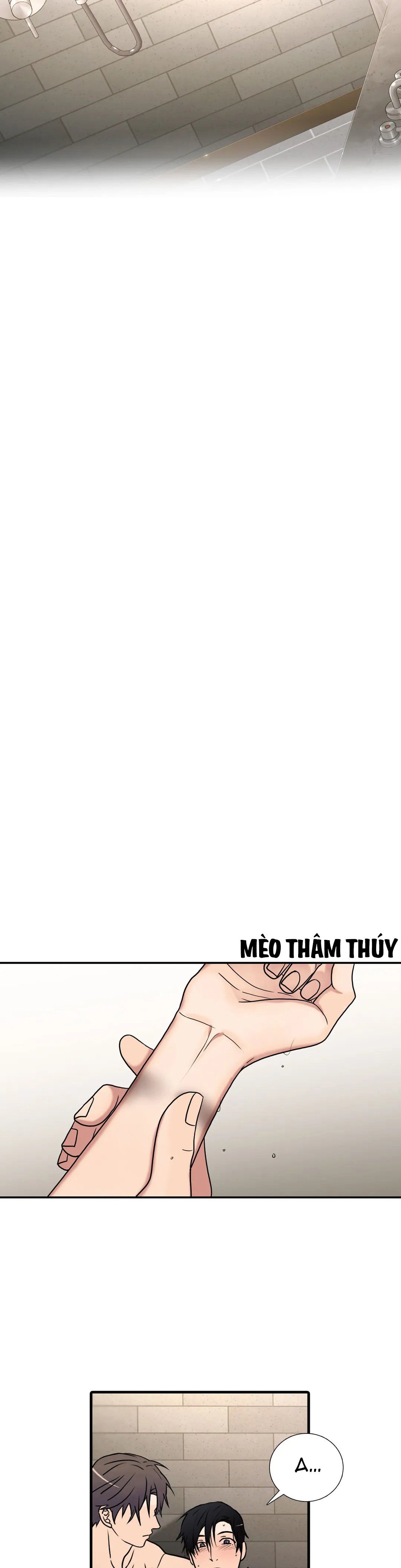 đọc truyện Đưa Đón Người Yêu Chương 97 ảnh 16 tại Thiên Thai Truyện