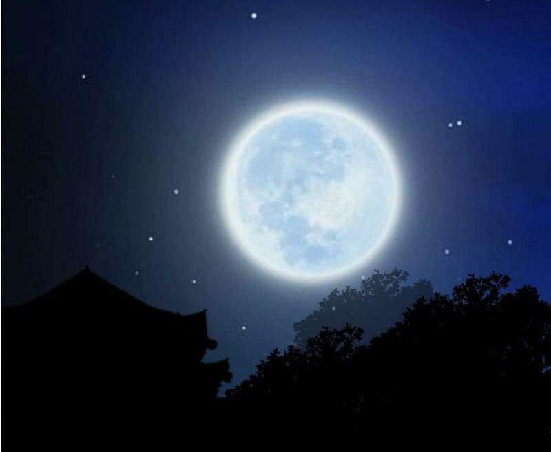 đọc truyện Dục Huyết Thương Hậu Chương 107 ảnh 12 tại Thiên Thai Truyện