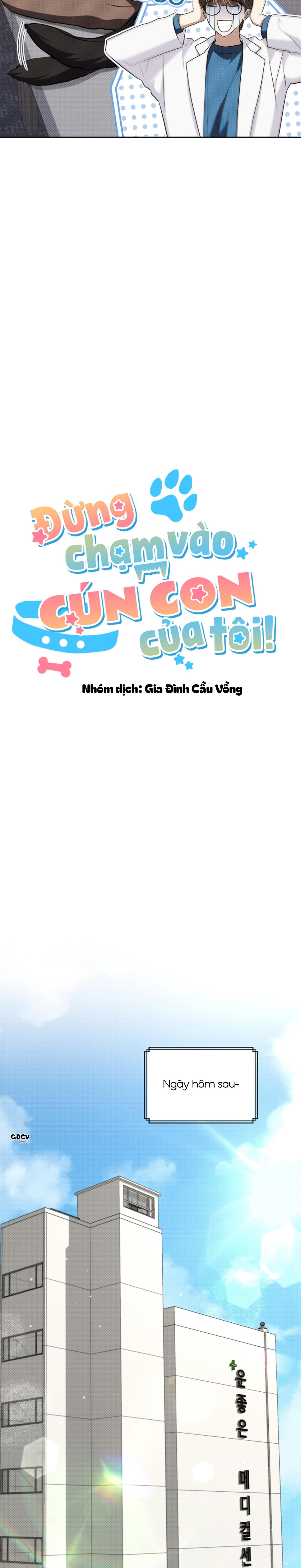 đọc truyện Đừng Chạm Vào Cún Con Của Tôi Chương 23 ảnh 6 tại Giả Dược