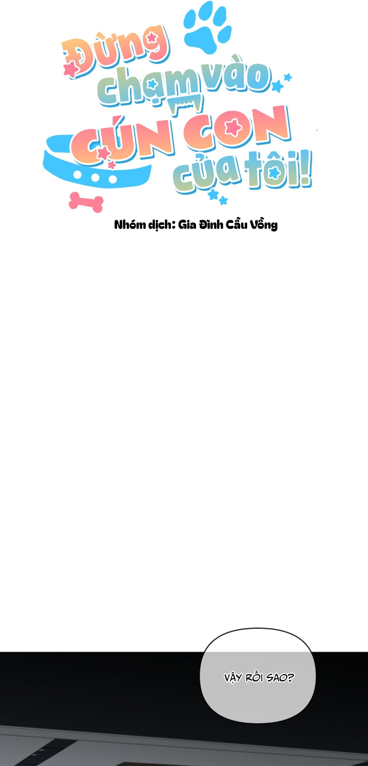 đọc truyện Đừng Chạm Vào Cún Con Của Tôi Chương 37 ảnh 11 tại Giả Dược
