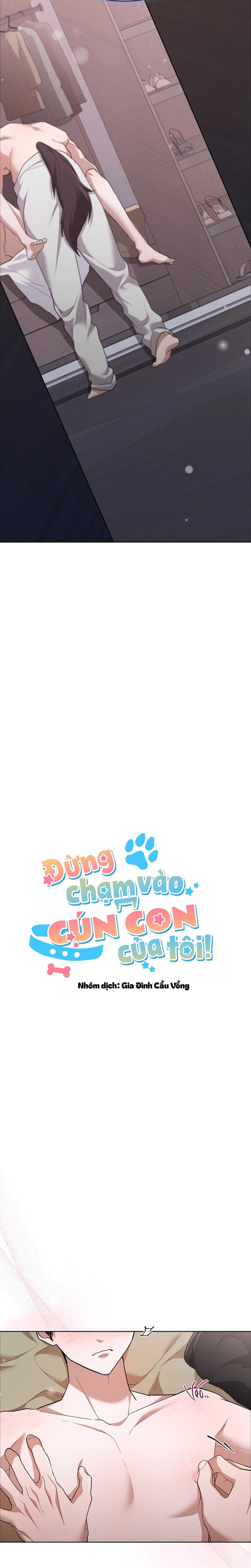 đọc truyện Đừng Chạm Vào Cún Con Của Tôi Chương 48 ảnh 7 tại Giả Dược
