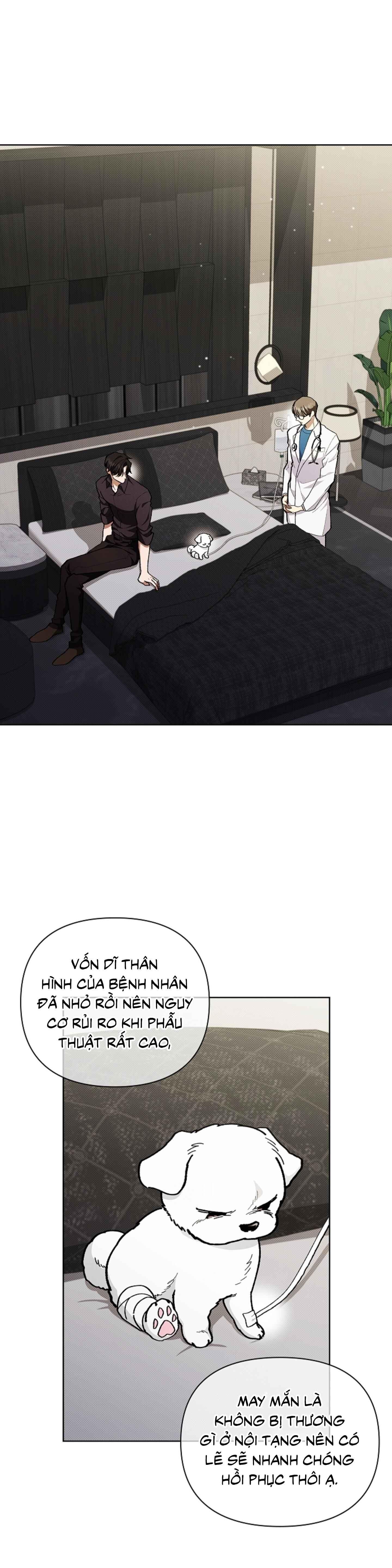 đọc truyện Đừng Động Vào Cún Con! Chương 4 ảnh 1 tại Thiên Thai Truyện