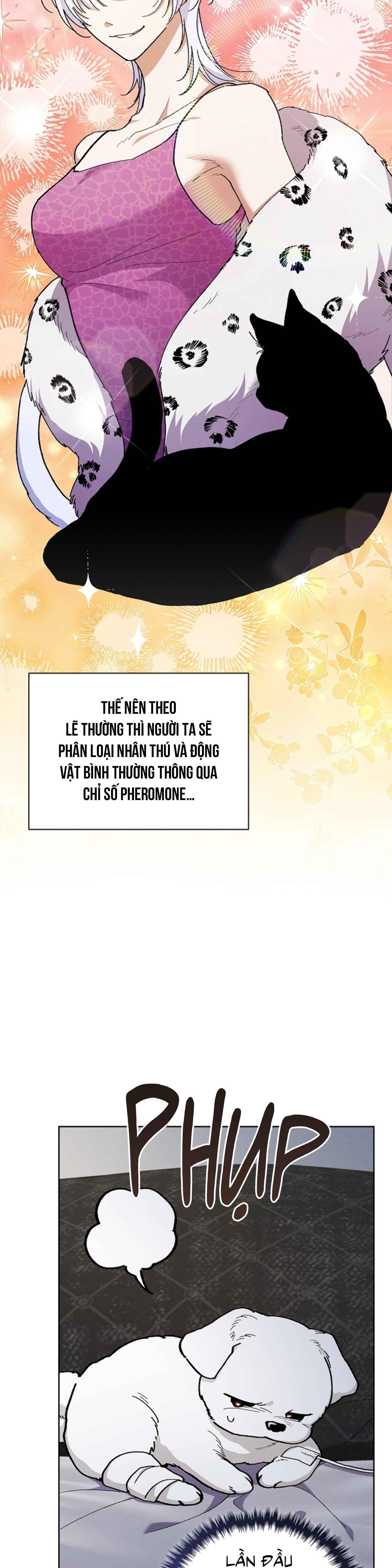 đọc truyện Đừng Động Vào Cún Con! Chương 4 ảnh 4 tại Thiên Thai Truyện