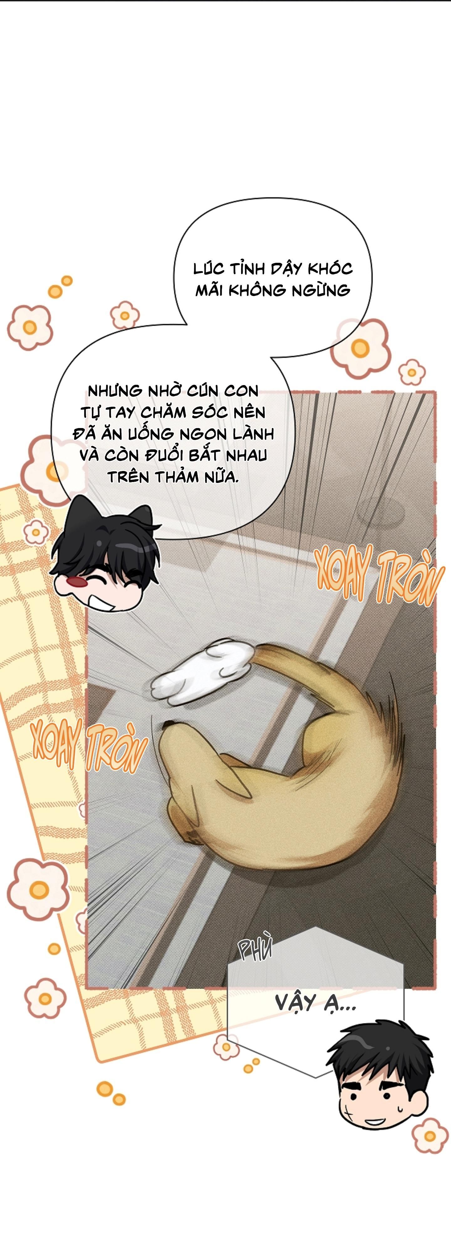 đọc truyện Đừng Động Vào Cún Con! Chương 44.05 ảnh 64 tại Truyện Dạ Ký