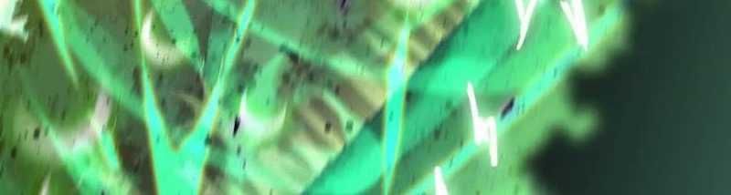 đọc truyện Dũng Giả X Nữ Ma Vương Chương 90 ảnh 307 tại Thiên Thai Truyện