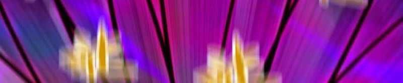 đọc truyện Dũng Giả X Nữ Ma Vương Chương 93 ảnh 159 tại Thiên Thai Truyện