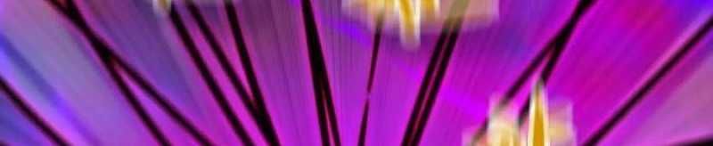 đọc truyện Dũng Giả X Nữ Ma Vương Chương 93 ảnh 160 tại Thiên Thai Truyện