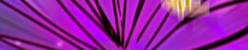 đọc truyện Dũng Giả X Nữ Ma Vương Chương 93 ảnh 161 tại Thiên Thai Truyện