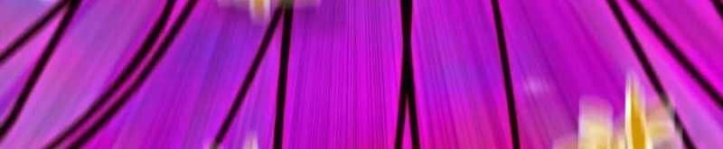 đọc truyện Dũng Giả X Nữ Ma Vương Chương 93 ảnh 165 tại Thiên Thai Truyện