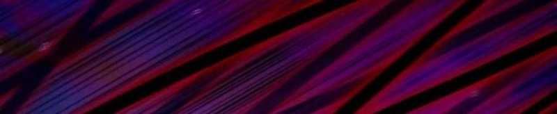 đọc truyện Dũng Giả X Nữ Ma Vương Chương 93 ảnh 235 tại Thiên Thai Truyện