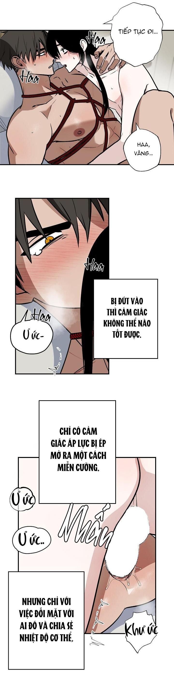 đọc truyện Dũng Sĩ Không Được Đi Qua Lối Đó Chương 8 ảnh 3 tại Thiên Thai Truyện