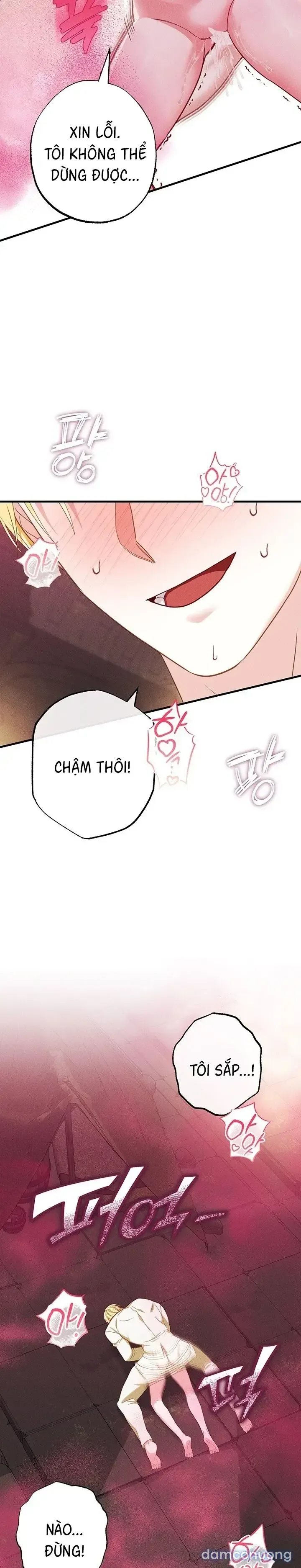 đọc truyện Dũng Sĩ Rơi Vào Cạm Bẫy Chương 3 ảnh 16 tại Thiên Thai Truyện