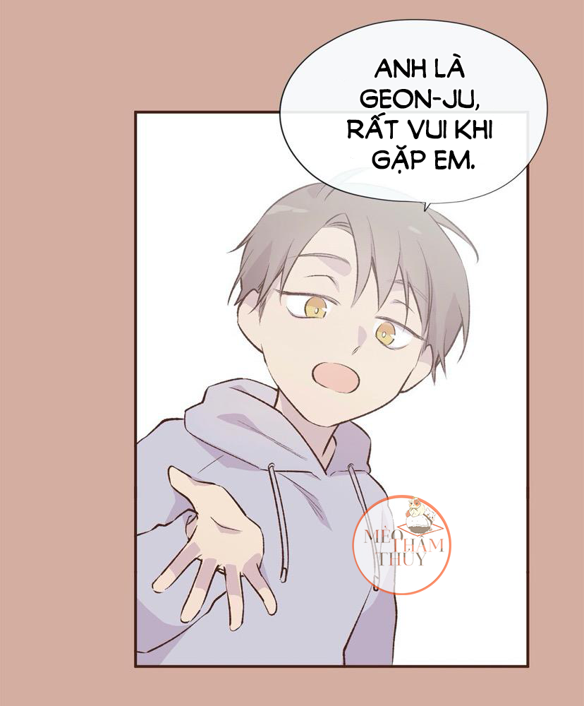 đọc truyện Đừng Viết Nữa,tác Giả Thân Mến! Chương 1 ảnh 54 tại Thiên Thai Truyện