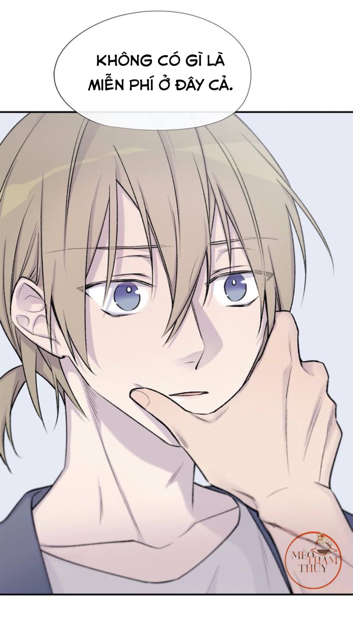 đọc truyện Đừng Viết Nữa,tác Giả Thân Mến! Chương 11 ảnh 12 tại Thiên Thai Truyện