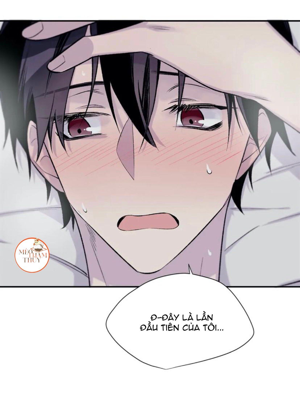 đọc truyện Đừng Viết Nữa,tác Giả Thân Mến! Chương 19 ảnh 22 tại Thiên Thai Truyện