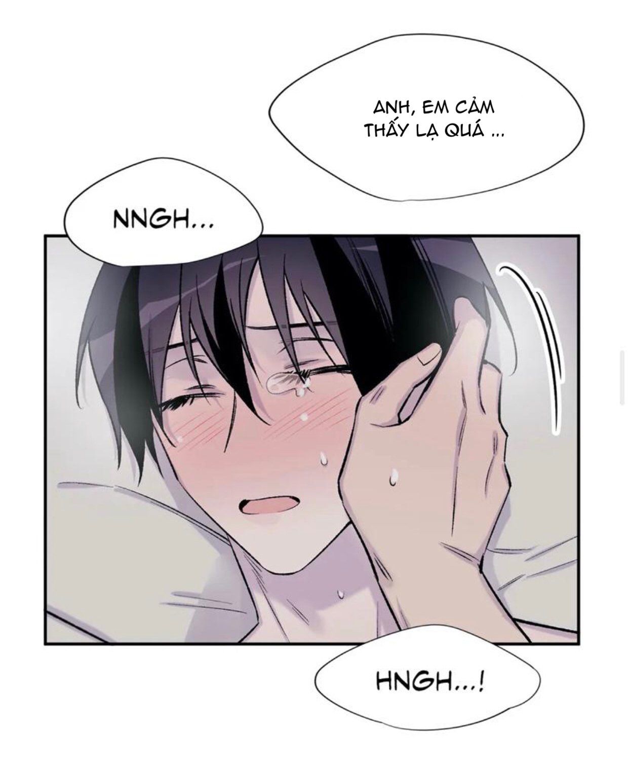 đọc truyện Đừng Viết Nữa,tác Giả Thân Mến! Chương 19 ảnh 24 tại Thiên Thai Truyện