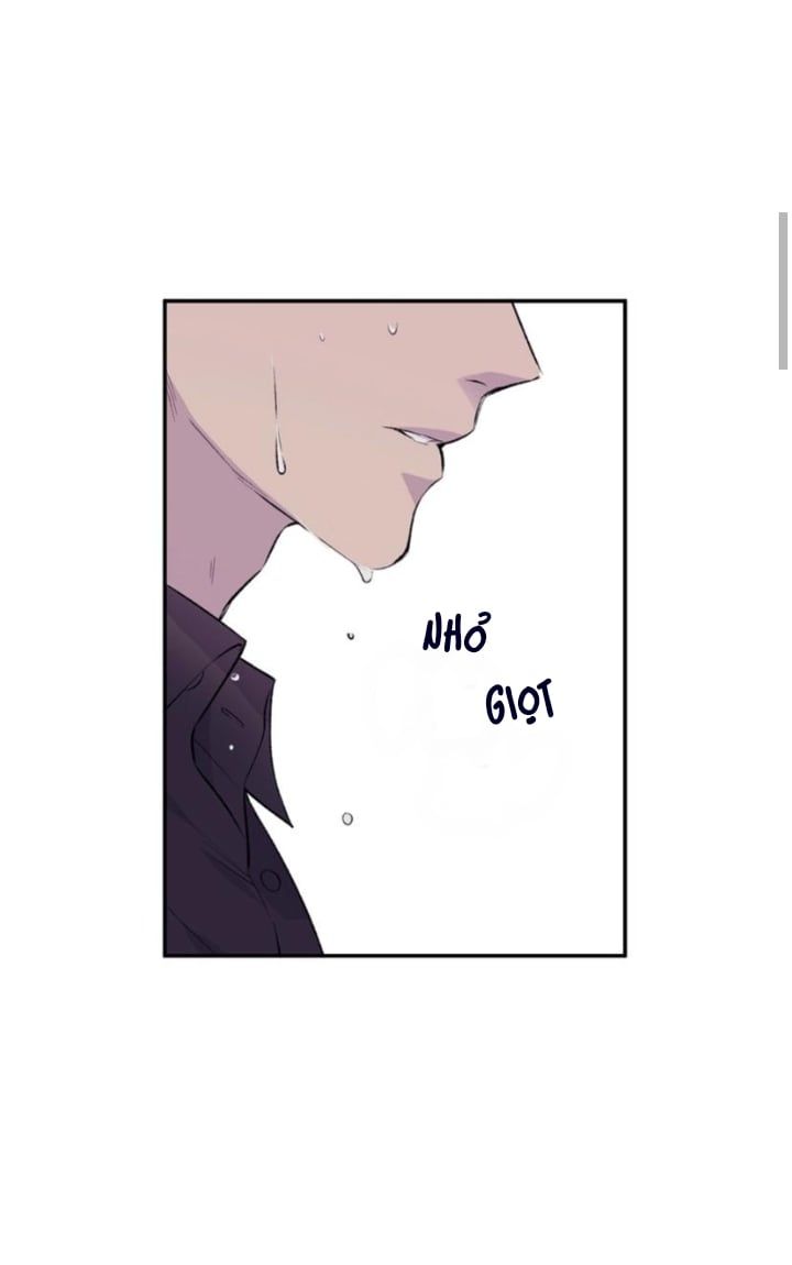 đọc truyện Đừng Viết Nữa,tác Giả Thân Mến! Chương 2 ảnh 11 tại Thiên Thai Truyện