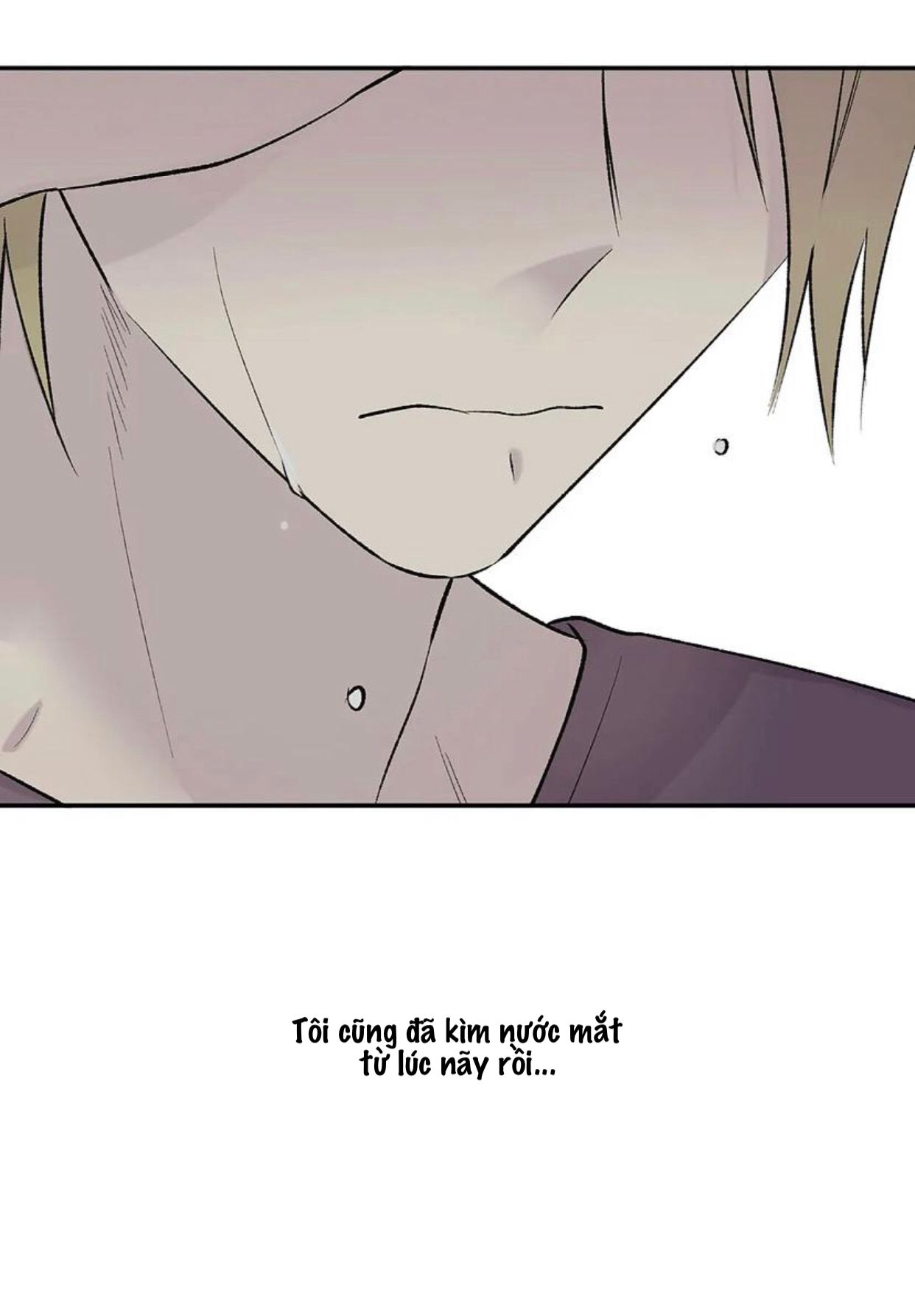 đọc truyện Đừng Viết Nữa,tác Giả Thân Mến! Chương 21 ảnh 29 tại Thiên Thai Truyện