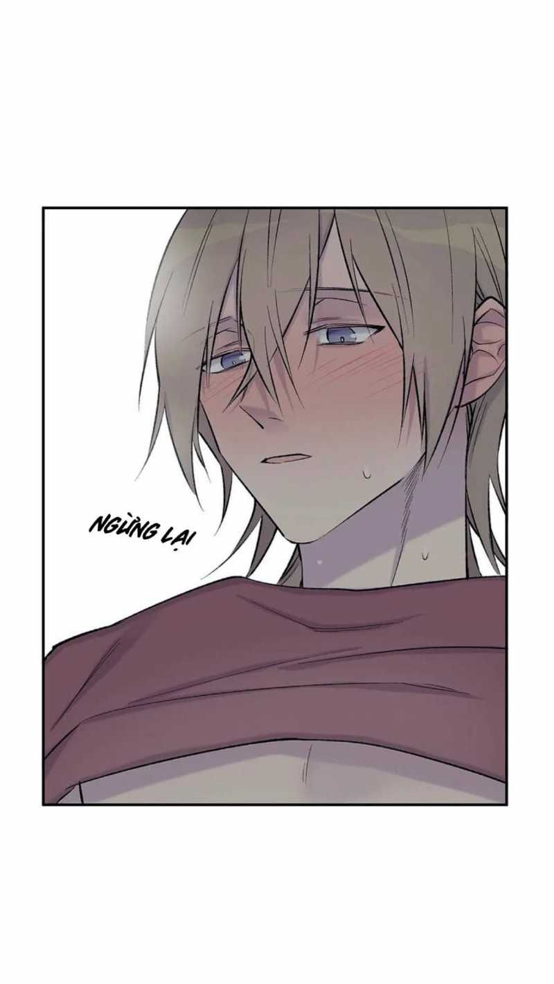 đọc truyện Đừng Viết Nữa,tác Giả Thân Mến! Chương 23 ảnh 4 tại Thiên Thai Truyện