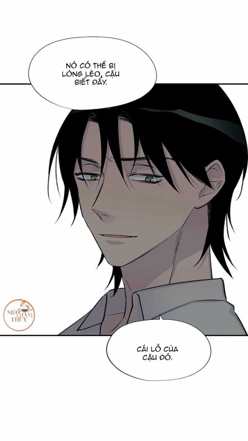 đọc truyện Đừng Viết Nữa,tác Giả Thân Mến! Chương 23 ảnh 52 tại Thiên Thai Truyện