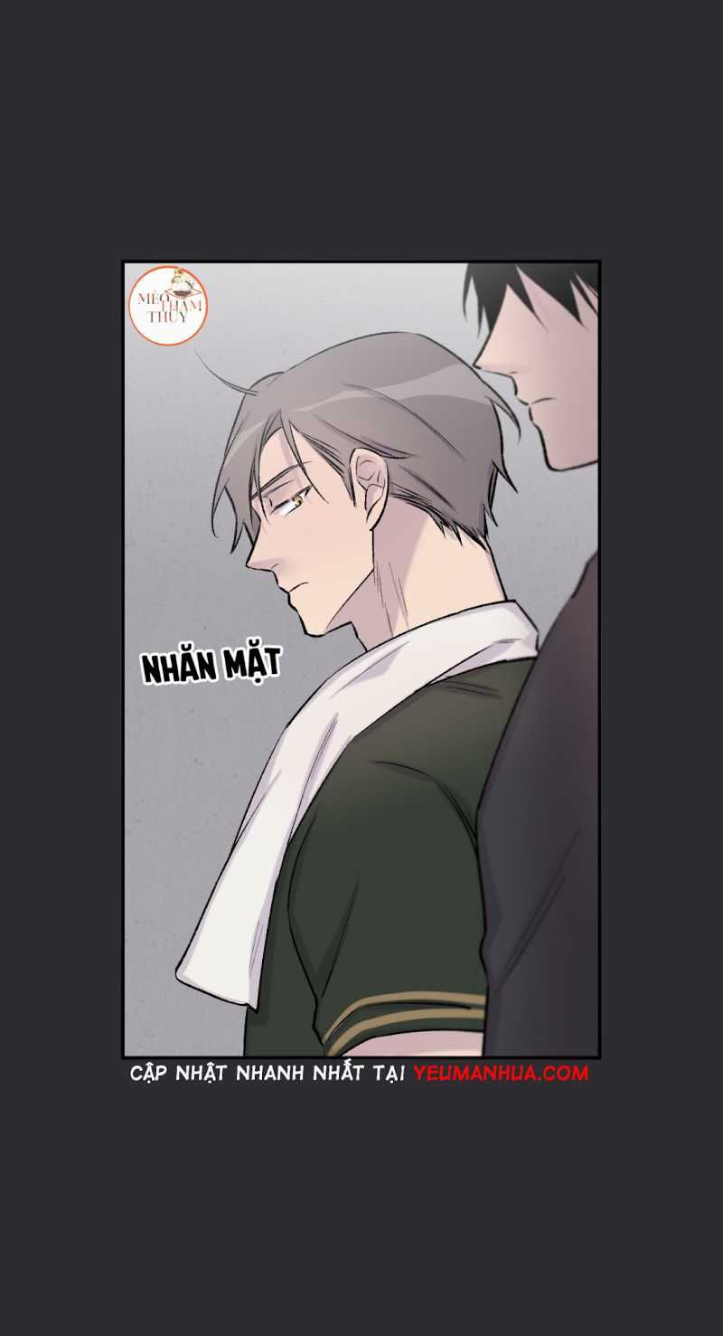 đọc truyện Đừng Viết Nữa,tác Giả Thân Mến! Chương 24 ảnh 53 tại Thiên Thai Truyện