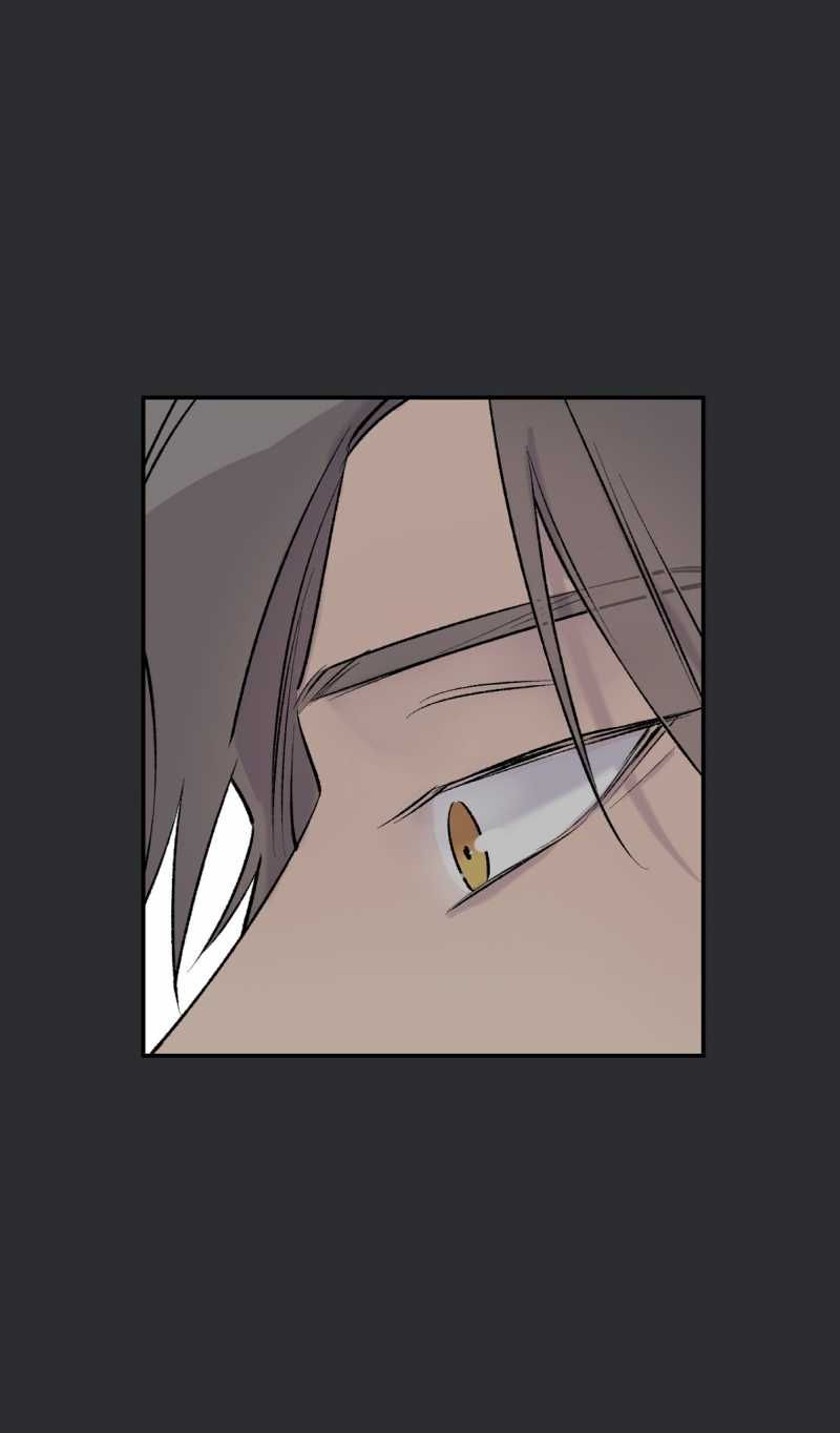 đọc truyện Đừng Viết Nữa,tác Giả Thân Mến! Chương 24 ảnh 63 tại Thiên Thai Truyện