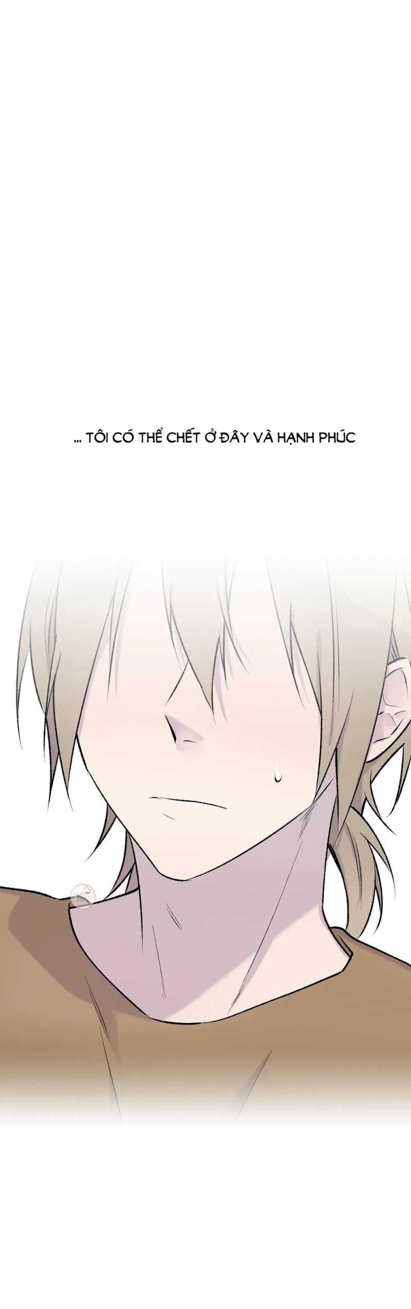 đọc truyện Đừng Viết Nữa,tác Giả Thân Mến! Chương 30 ảnh 6 tại Thiên Thai Truyện