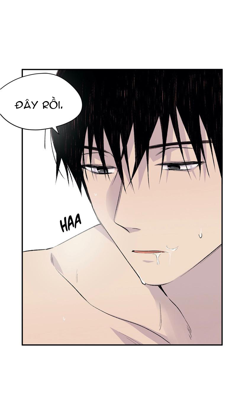 đọc truyện Đừng Viết Nữa,tác Giả Thân Mến! Chương 4 ảnh 26 tại Thiên Thai Truyện