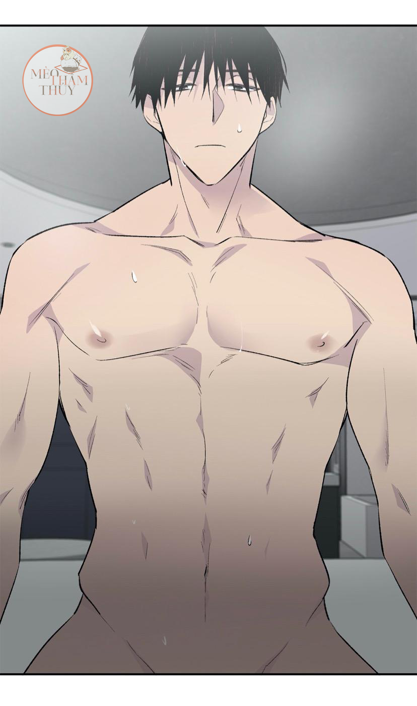 đọc truyện Đừng Viết Nữa,tác Giả Thân Mến! Chương 4 ảnh 8 tại Thiên Thai Truyện