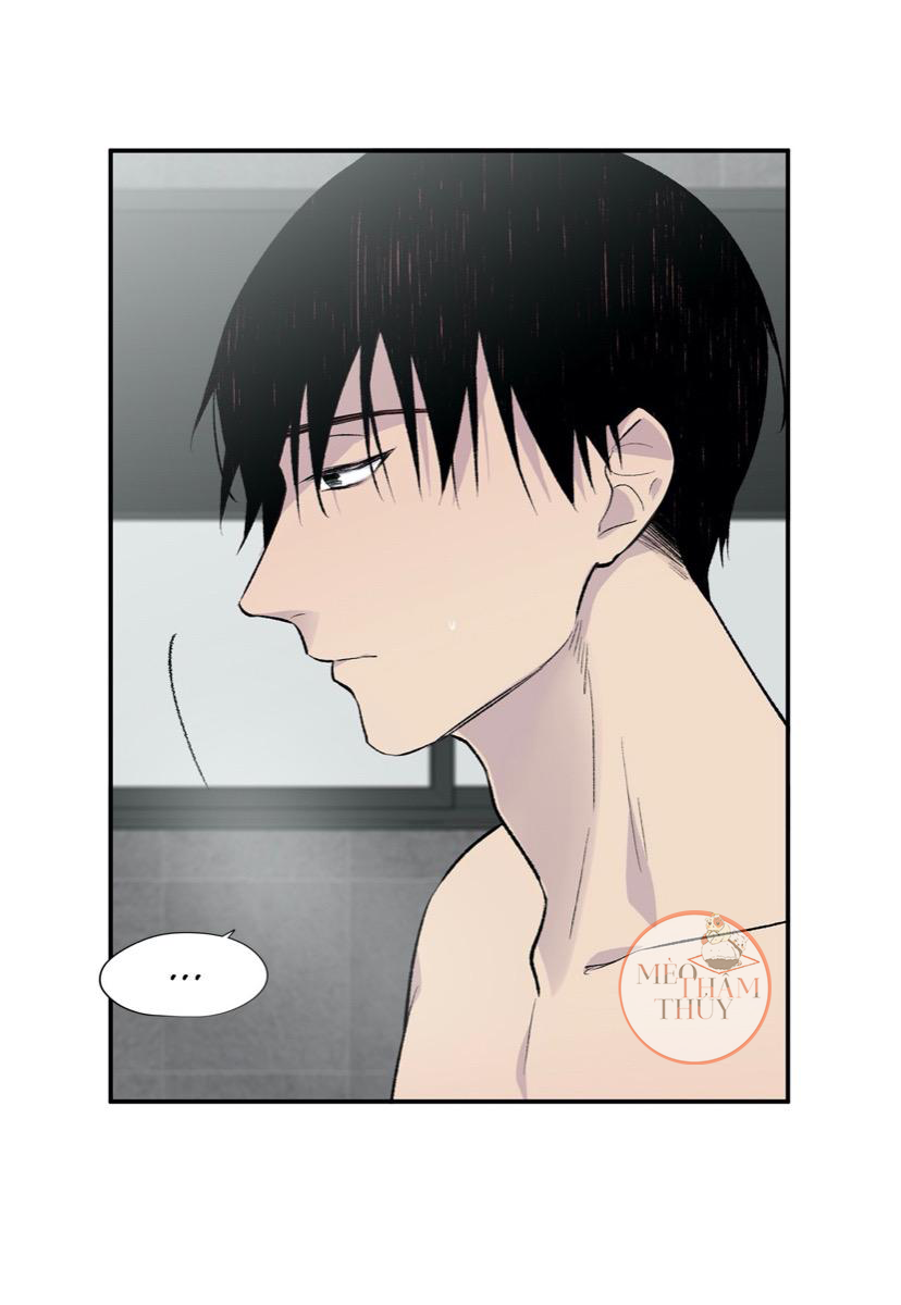 đọc truyện Đừng Viết Nữa,tác Giả Thân Mến! Chương 4 ảnh 10 tại Thiên Thai Truyện