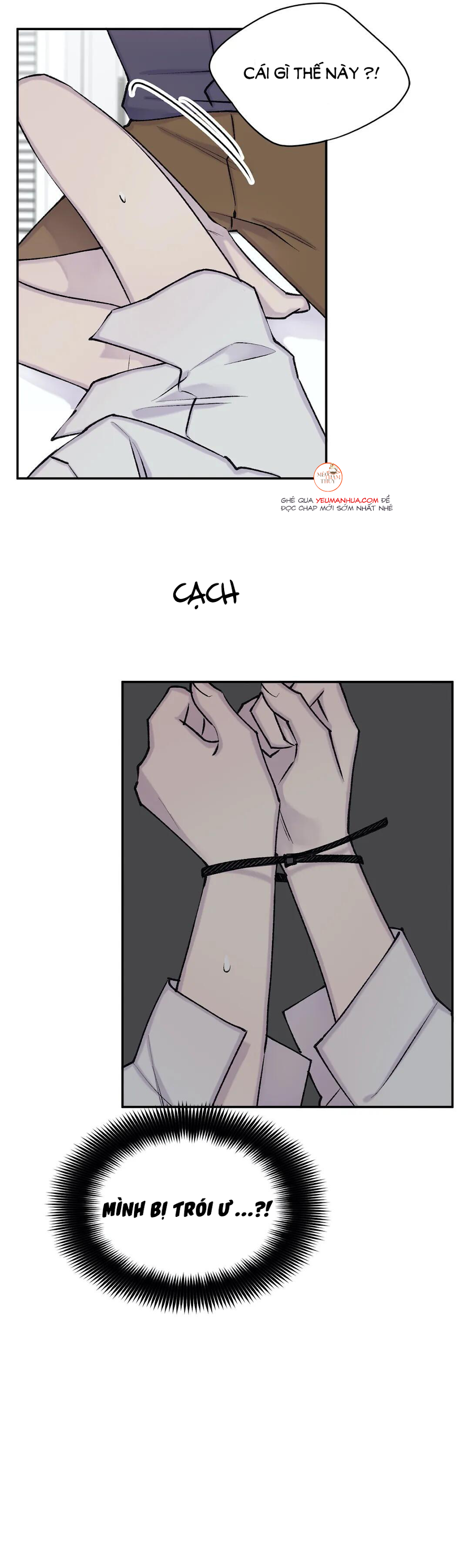 đọc truyện Đừng Viết Nữa,tác Giả Thân Mến! Chương 41 ảnh 14 tại Thiên Thai Truyện